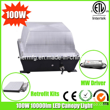 Best Dissipation 100W UL Meanwell Driver LED Canopy Light Fixtures Used in Parking Garage